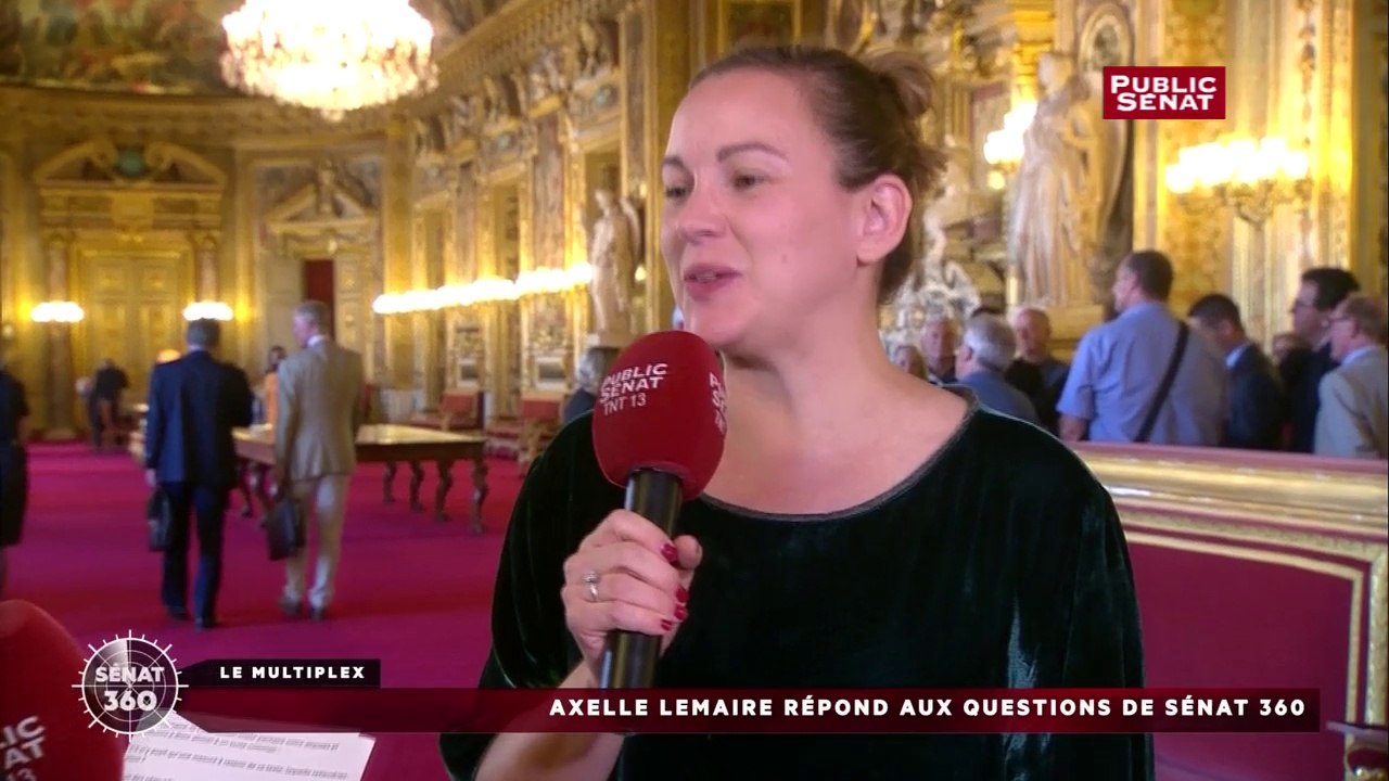 Sénat 360 -Axelle lemaire -Réactions