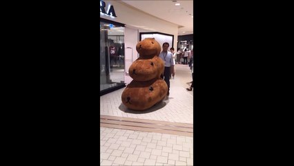 Le costume le plus adorable jamais vu... Trop mignon