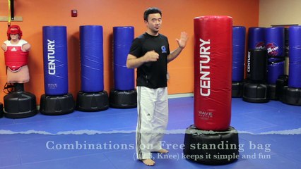 freestanding kickboxing bag