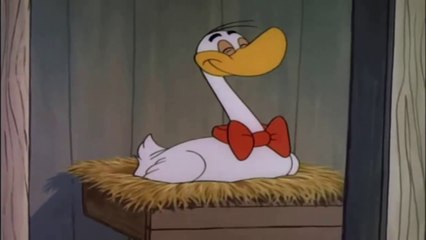 FAMILIA URSO GANSO CHOCO