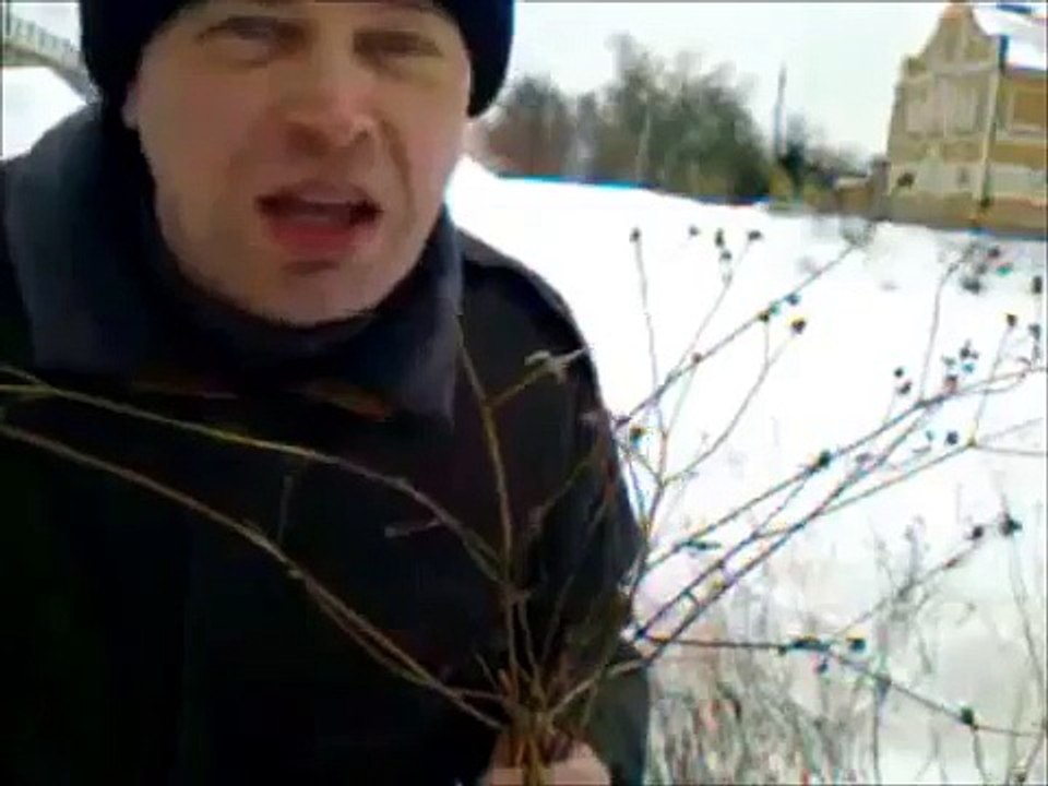 Жизнь — это кайф после травки