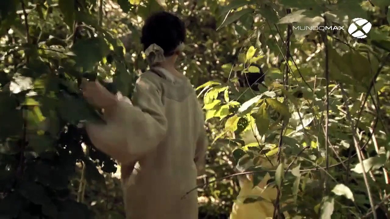 los milagros de jesus capitulo 10