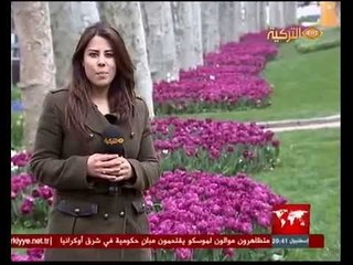 20 مليون زهرة توليب تزين حدائق اسطنبول