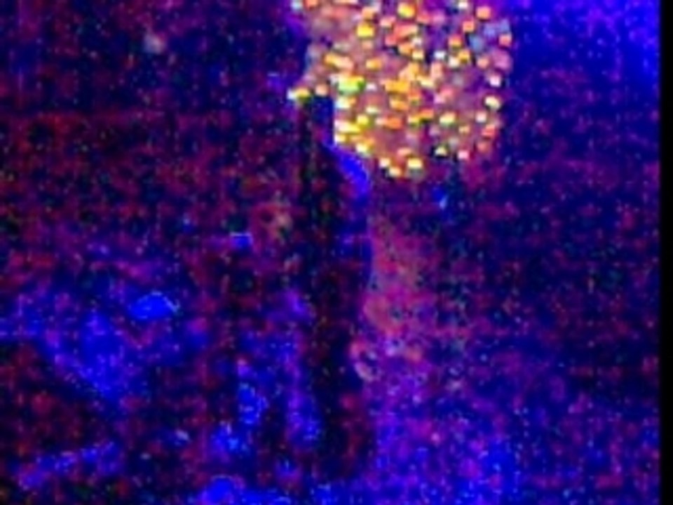 The Killers Live Smile Like You Mean It