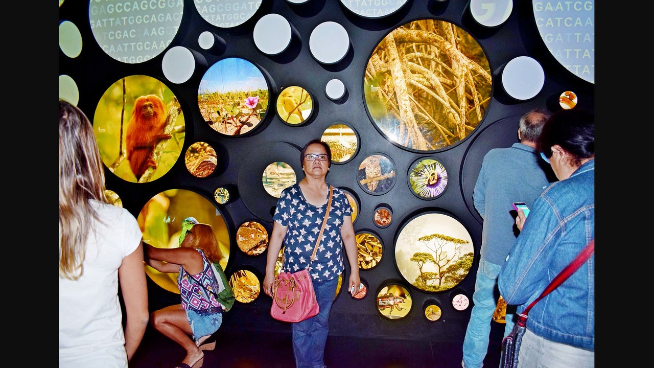 OUR HOLIDAY IN RIO DE JANEIRO, BRAZIL