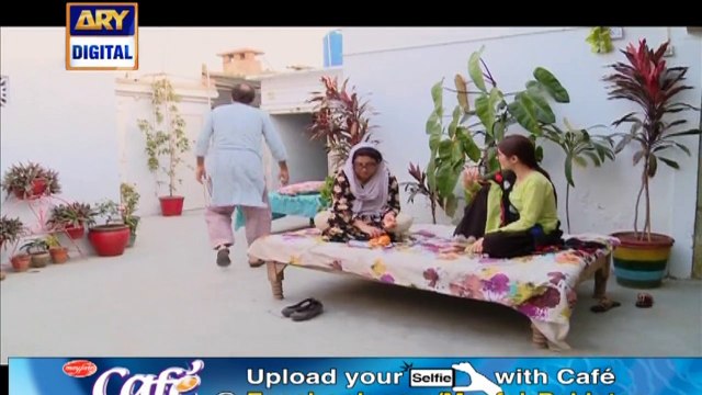 Watch Bulbulay Episode 276 on Ary Digital in High Quality 28th September 2016