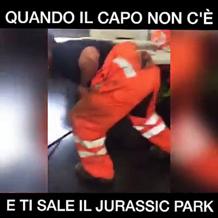 Quando Il Capo Non Cè....