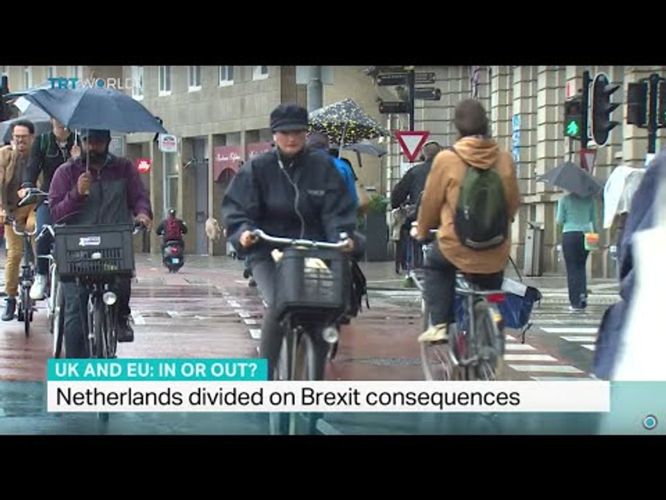 Netherlands divided on Brexit consequences, Jon...