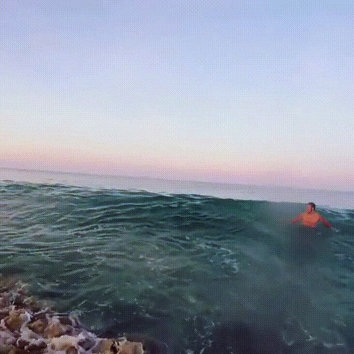 FEARLESS IDIOT WRESTLES MASSIVE SAND TIGER SHARK IN SHALLOW WATER