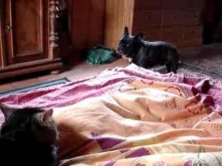 Alors tu te lèves ?!