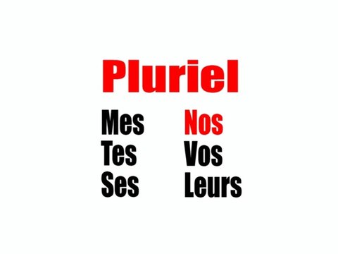 Learn French - Adjectifs possessifs pluriels