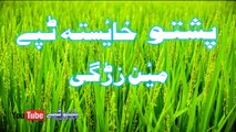 Pashto New Tapay 2016 Armani Biutiful Tappy Smart Nice Best Tapey