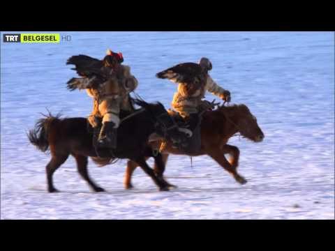 İnsan Gezegeni - Fragman - TRT Belgesel