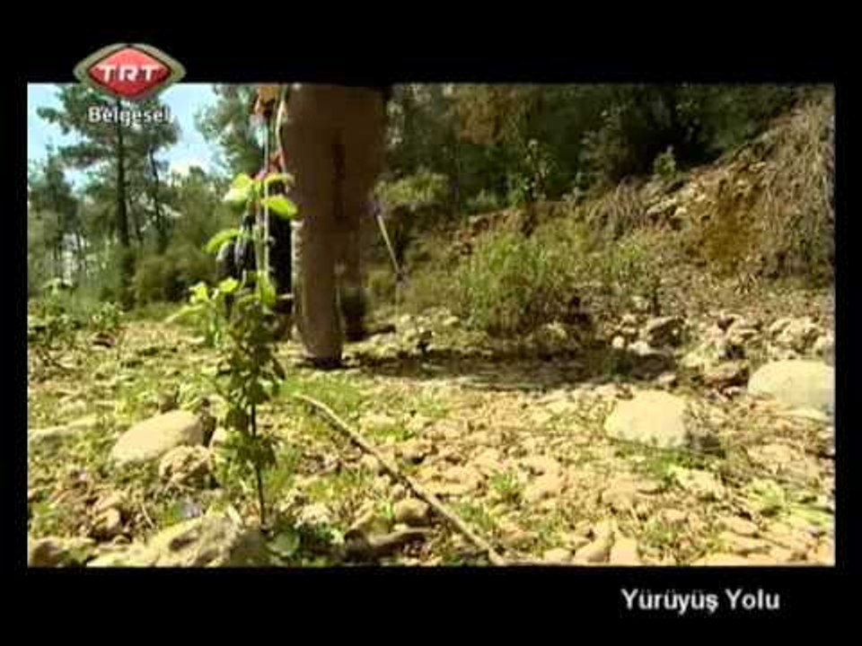 Yürüyüş Yolu 01.bölüm Köprülü Kanyon/Antalya TRT Belgesel