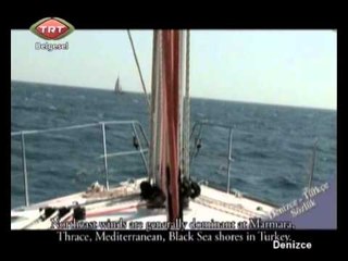 Denizce 1.Bölüm TRT Belgesel