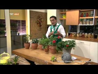 Saksıda Sebze Nasıl Yetiştirilir? - Erkan Şamcı ile Doğal Yaşam - TRT Avaz