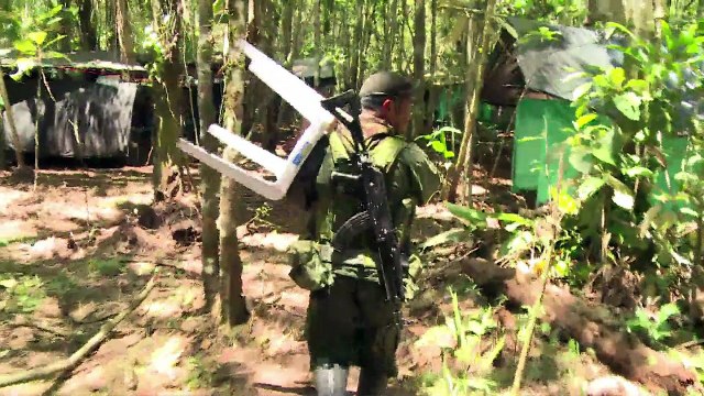 Botas y tatuajes, un “skinhead” en las filas de las FARC