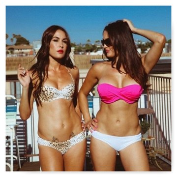 The Bella Twins Brie Mode and Fearless Nikki