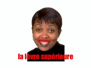 Learn French - Le visage vol2