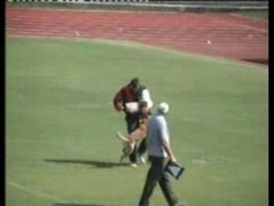 Carlos von Watzdorf-FCI-WM-Nova Gorica-2006