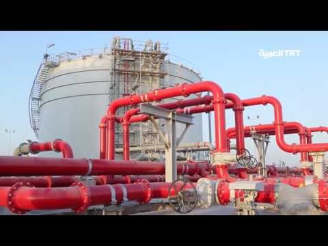 زيارة الرئيس التركي لموسكو التعاون الاقتصادي يتصدر جدول أعمال قمة أردوغان - بوتين