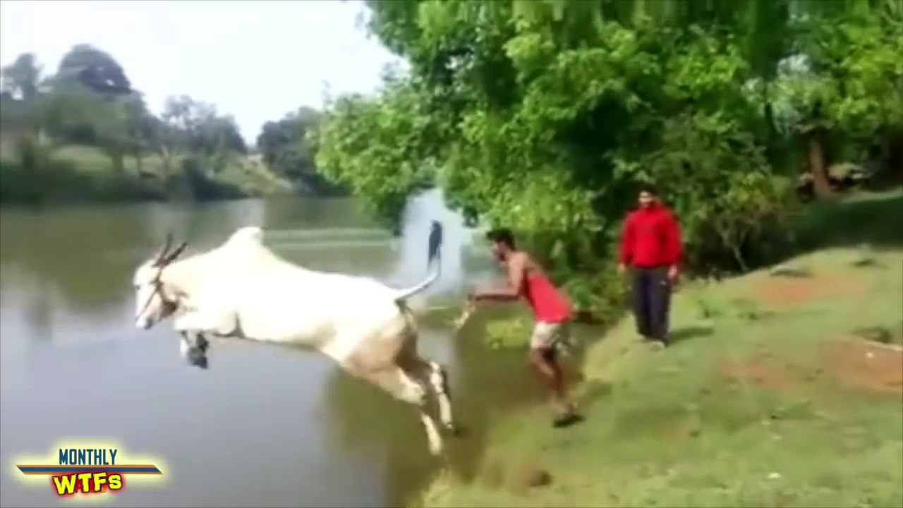 WTF Compilation    October 2015    MonthlyFails