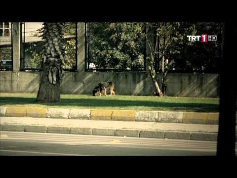 Şubat klip 7 Mehmet Erdem Hayat Bu