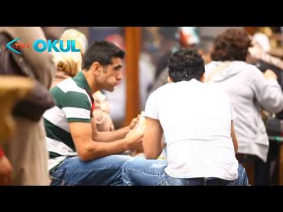 Anatomi Atlası - Mide - TRT Okul