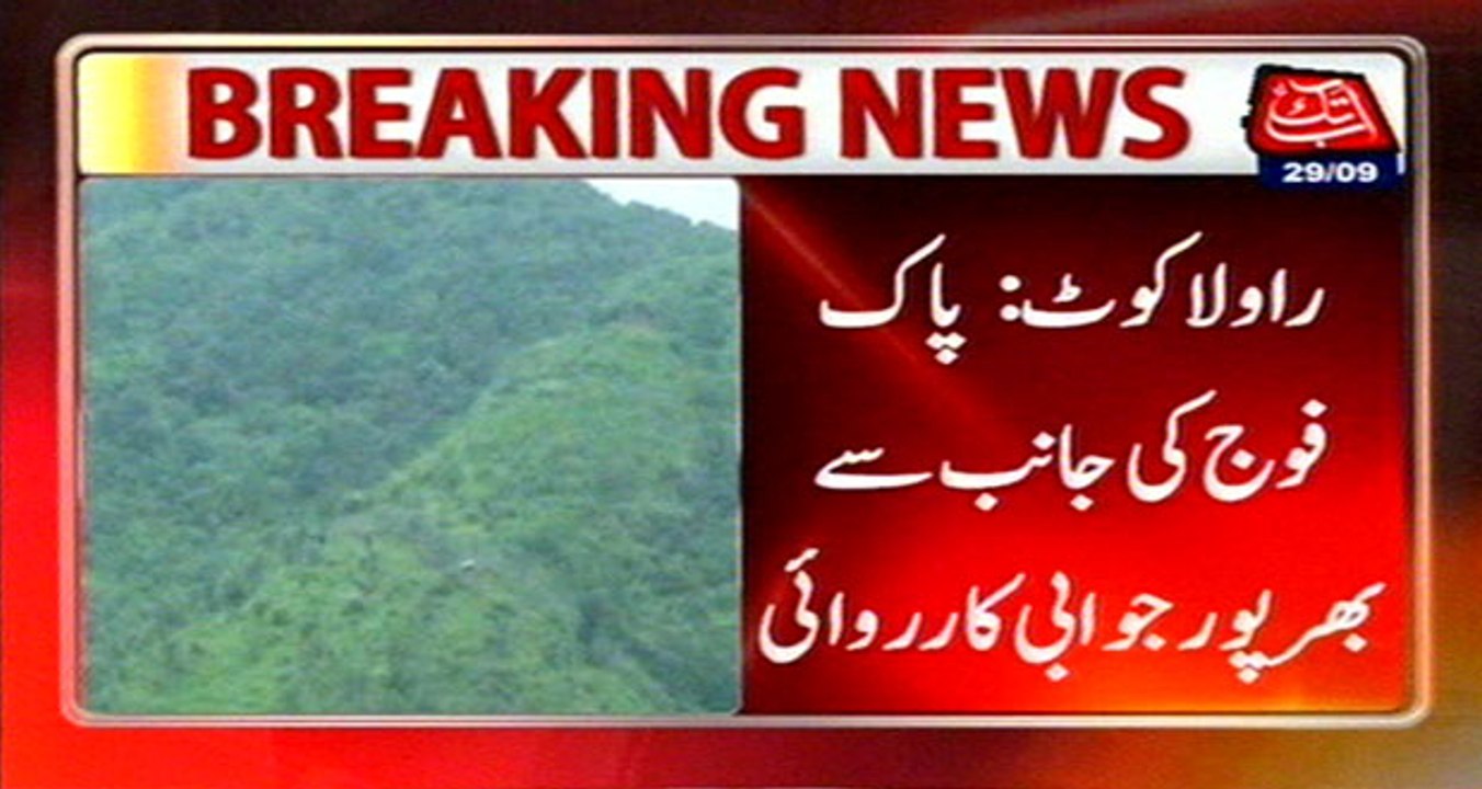 BSF Violated LOC; Battal And Poonch Sector Suffers Unprovoked Firing, 1 Civilian Martyred