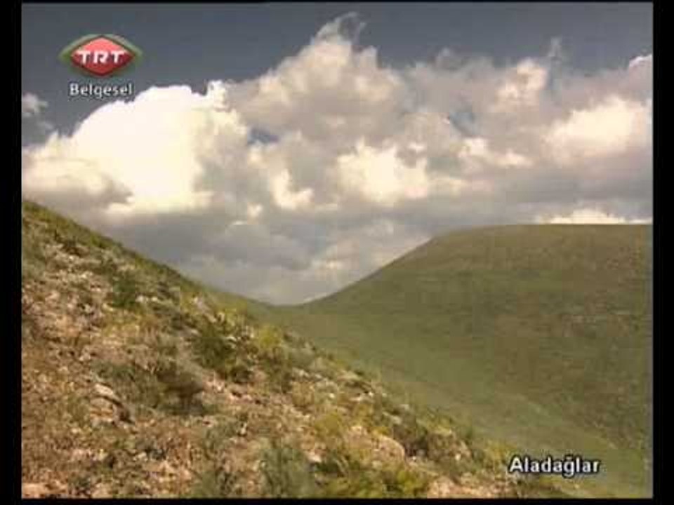 Aladağlar 2.bölüm TRT Belgesel