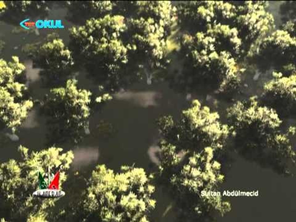 Sultan Abdülmecid - Ferman Padişahın - Hanedan - TRT Okul