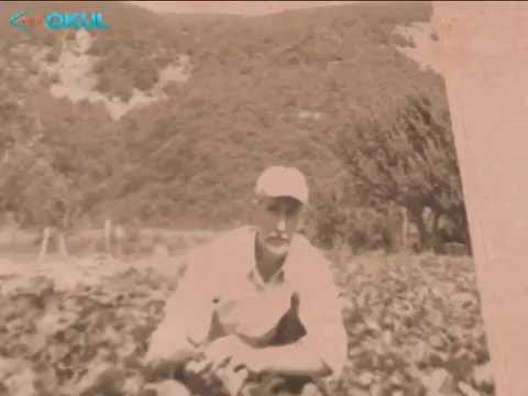 Necip Fazıl Kısakürek - Kilometre Taşları - TRT Okul