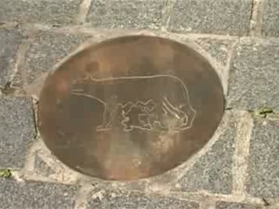 Arkadozy