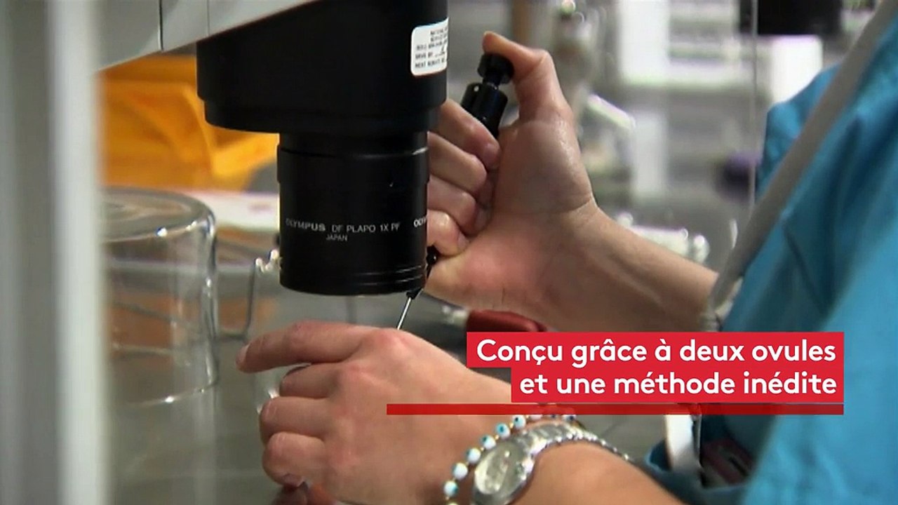 Trois questions sur la naissance d'un bébé à "trois parents"