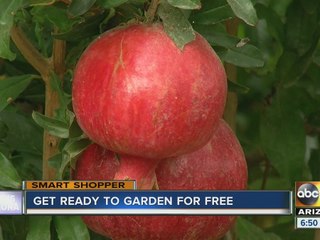 Save on your winter gardening this season