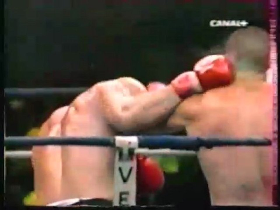 Jerome Le Banner vs. Sinisa Andrijasevic