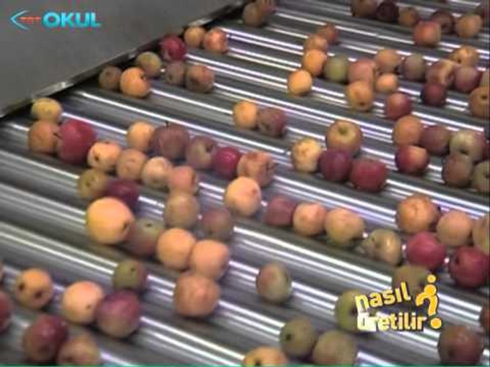 Nasıl Üretilir? - Meyve Suları - TRT Okul