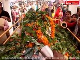 Maha Shivratri celebrated with religious fervour in Gorakhpur