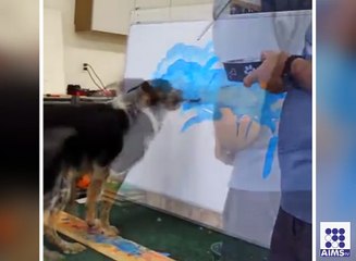 کتے نے اپنی مہارت سے سب کو حیران کردیا آپ بھی یہ ویڈیو دیکھیں