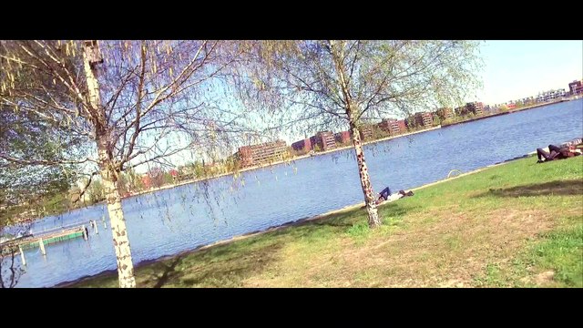 Berlin Rummelsburg Moving Impressions