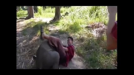 Unbelievable Friendship! People and Wild Animals