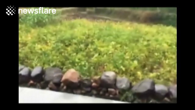 Major landslide destroys 20 houses in southern China