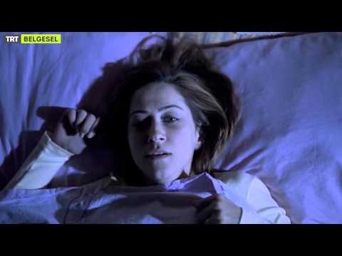 Psikopatoloji - 1. Bölüm Fragman - Post Travmatik Stres Bozuklugu - TRT Belgesel