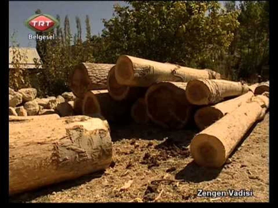 Zengen Vadisi