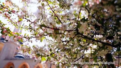 Shan Yousafzai & Obaid Khan Pashto New Hamd 2016 Ya Rabil Alameen