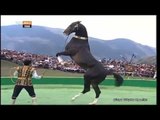 At Üstünde Türkler - 2. Dünya Göçebe Oyunları ile Kırgızistan - TRT Avaz