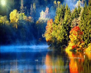 DİNLENDİRİCİ FON MÜZİĞİ