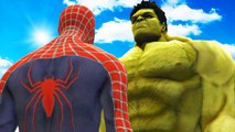 BIG HULK VS SPIDERMAN - THE INCREDIBLE HULK VS SPIDER-MAN (2002)